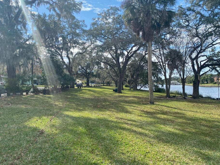 Chic Pad In Center Of Seminole Heights-322 Apartment Tampa Luaran gambar